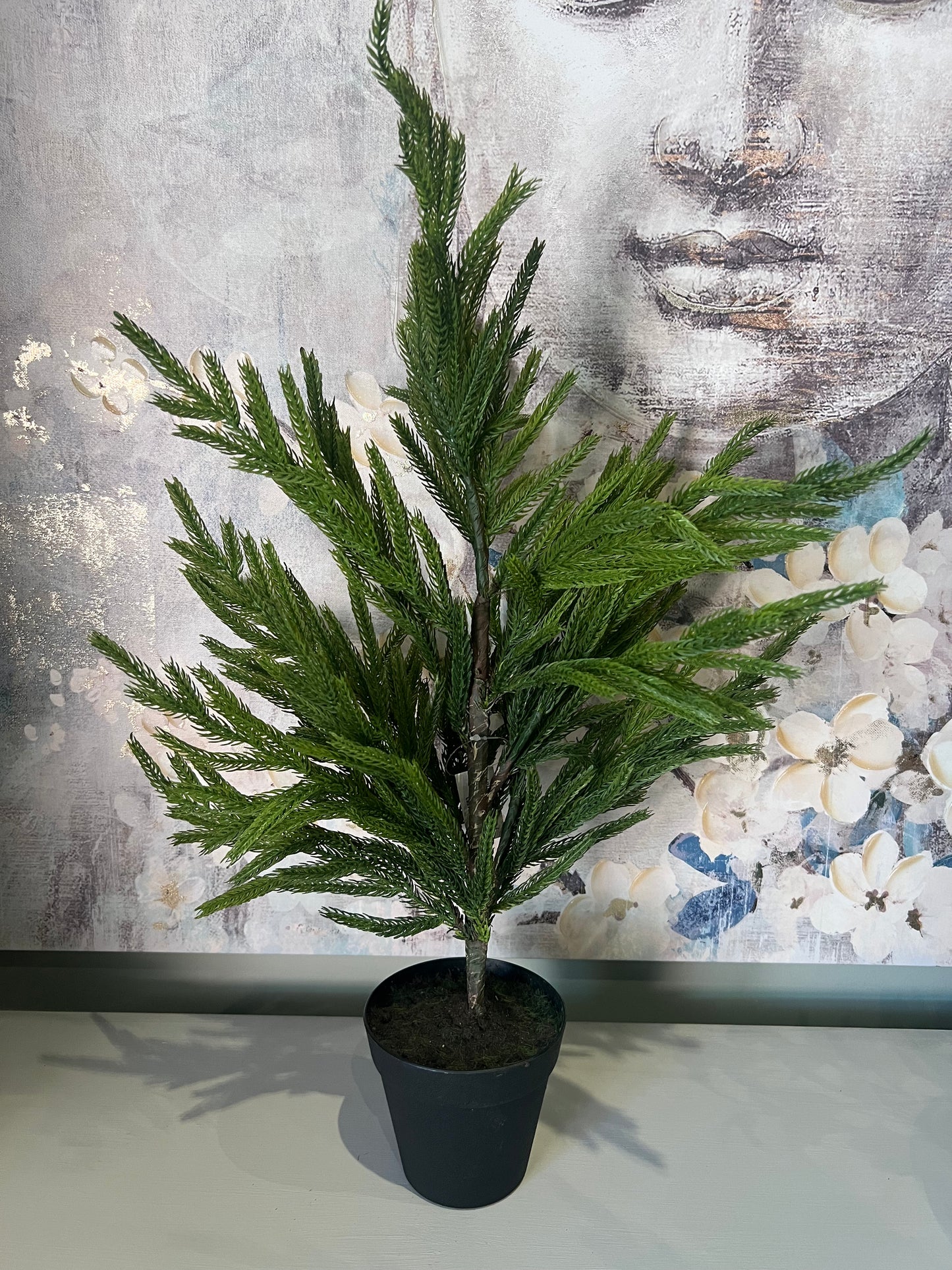 Pine Tree Potted in Pot - 26"