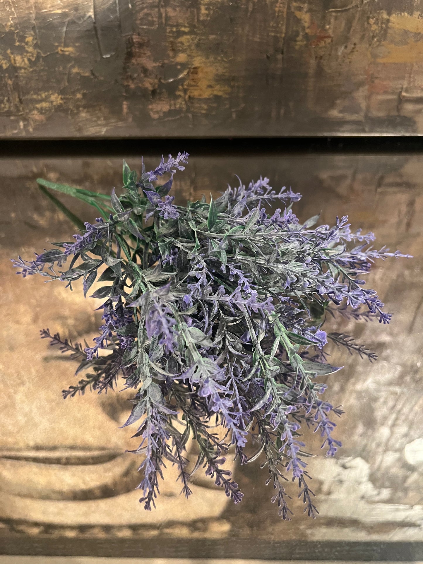 Lavender Bush Violet (12")