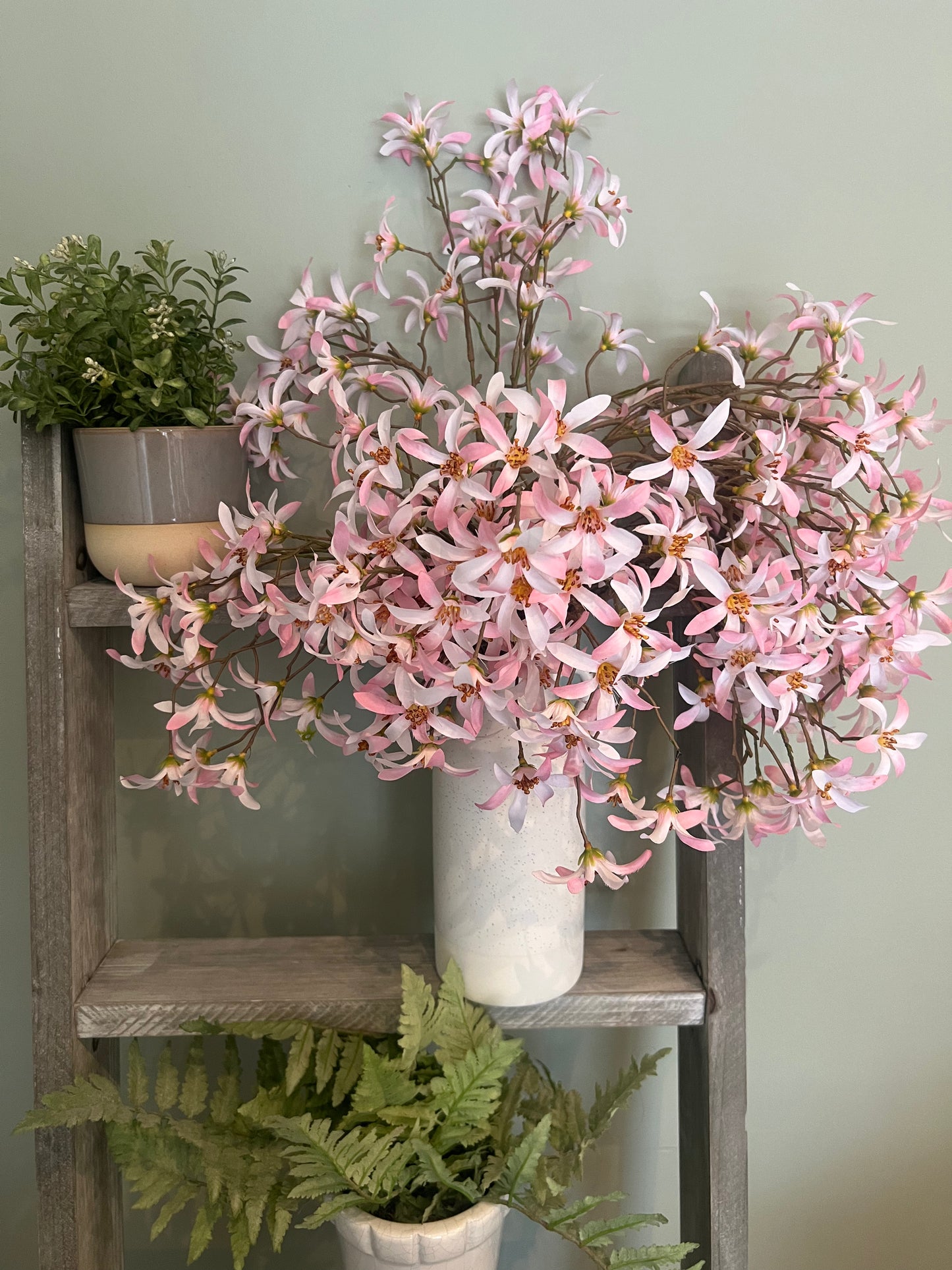 Pink Forsythia Bundle with Vase