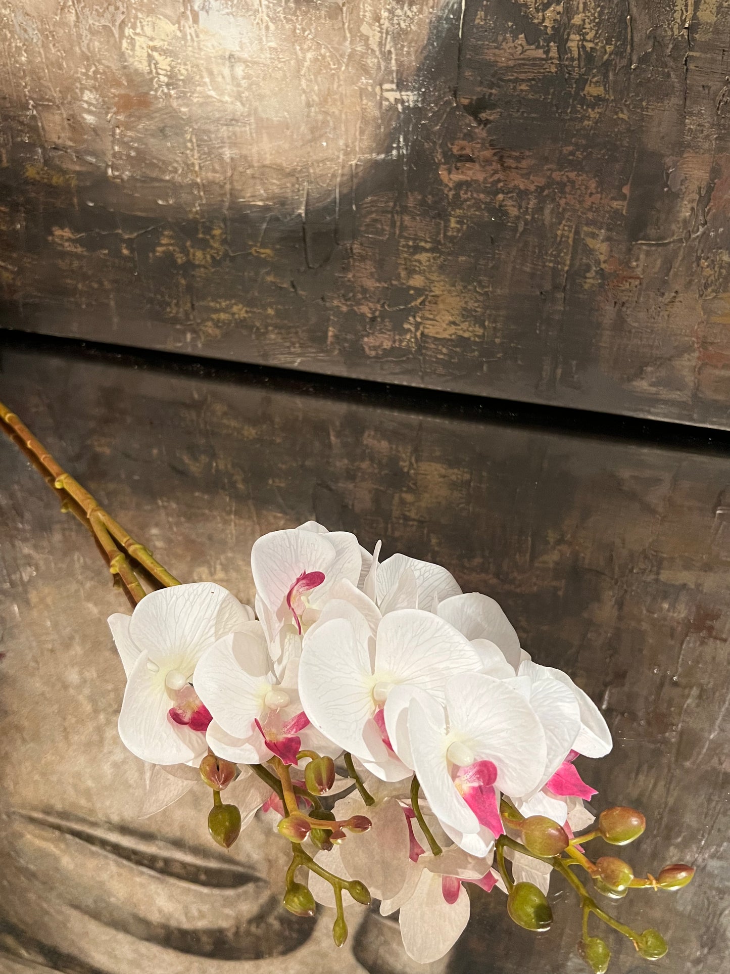 White Phalaenopsis Orchid (27.5")