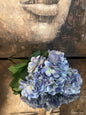 Blue Hydrangea Bundle (21")